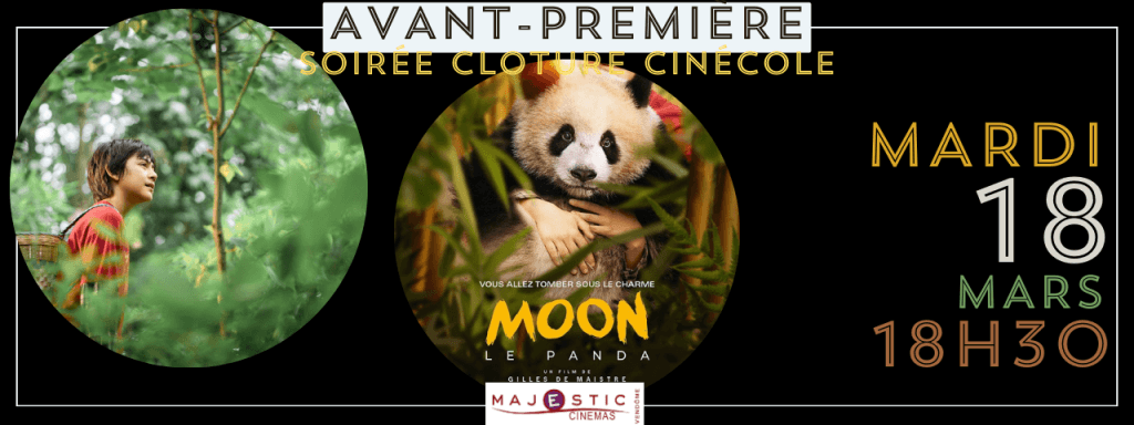 actualité moon